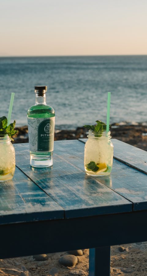 Mint-&-Lemon-Pita-Gin