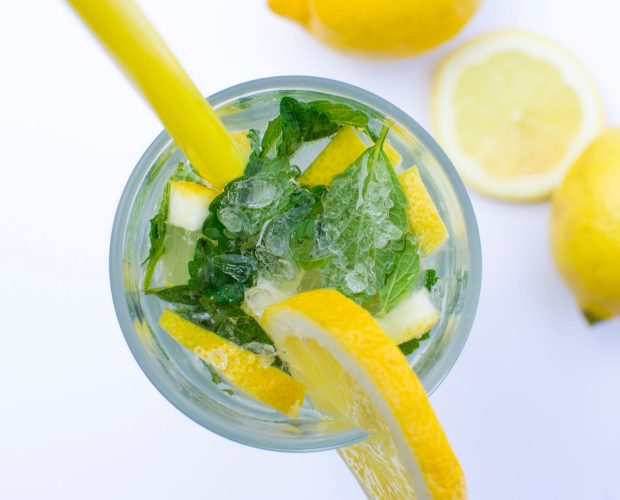 Mint-&-Lemon-Pita-Gin2